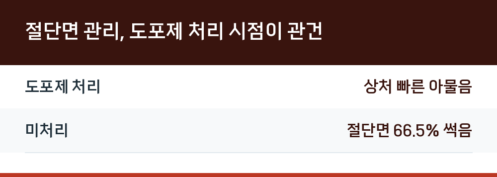 절단면 관리, 도포제 처리 시점이 관건