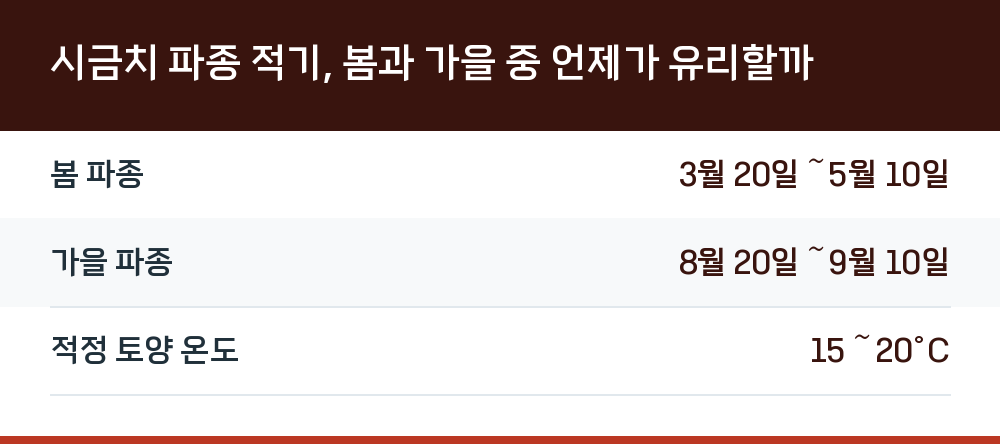 시금치 파종 적기, 봄과 가을 중 언제가 유리할까