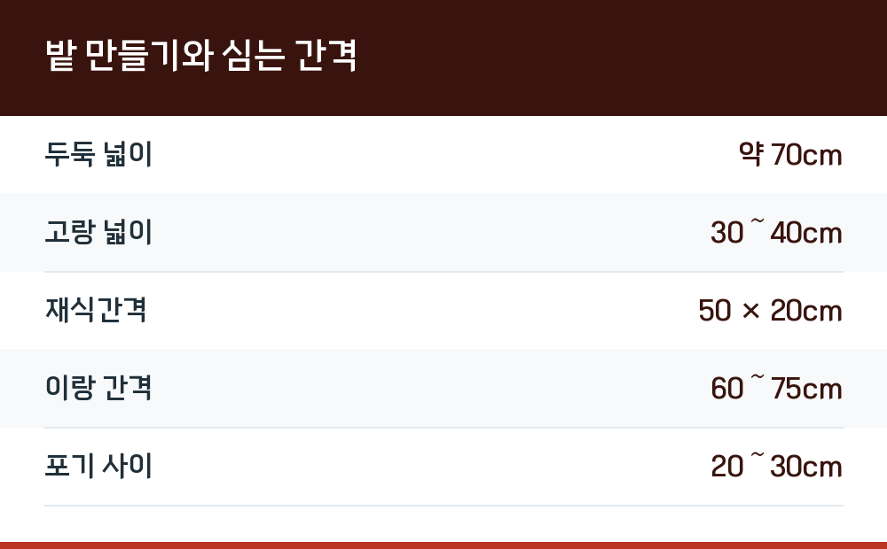 밭 만들기와 심는 간격