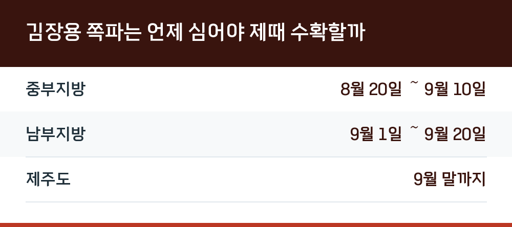 김장용 쪽파는 언제 심어야 제때 수확할까