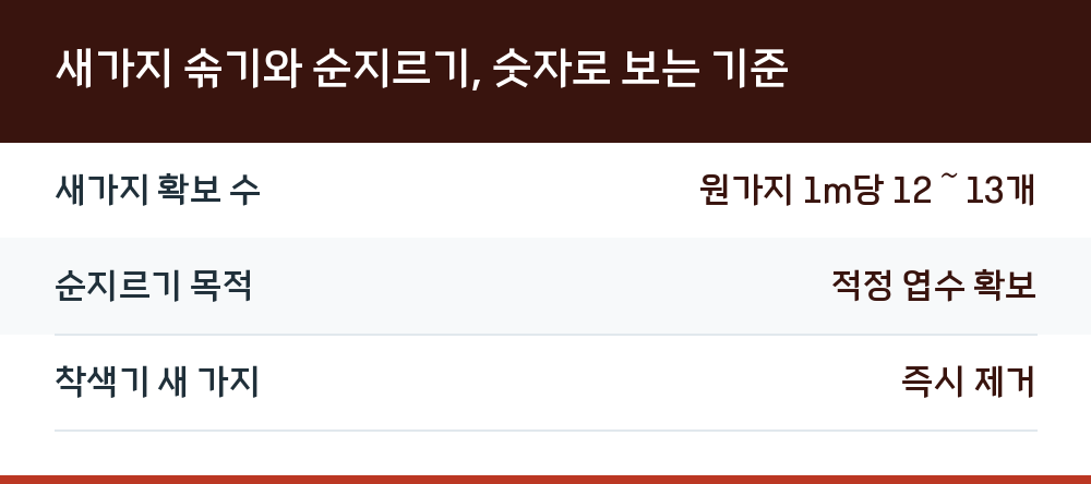 새가지 솎기와 순지르기, 숫자로 보는 기준