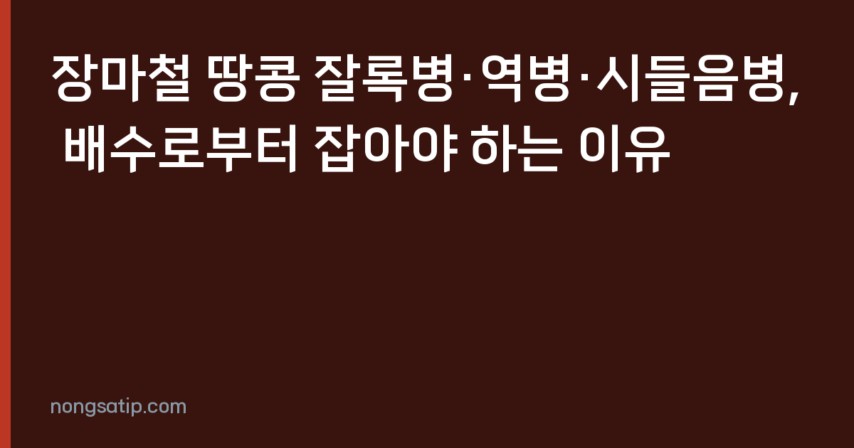 장마철 땅콩 잘록병·역병·시들음병, 배수로부터 잡아야 하는 이유