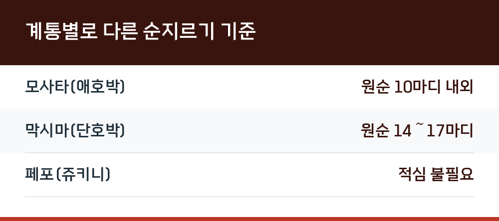 계통별로 다른 순지르기 기준