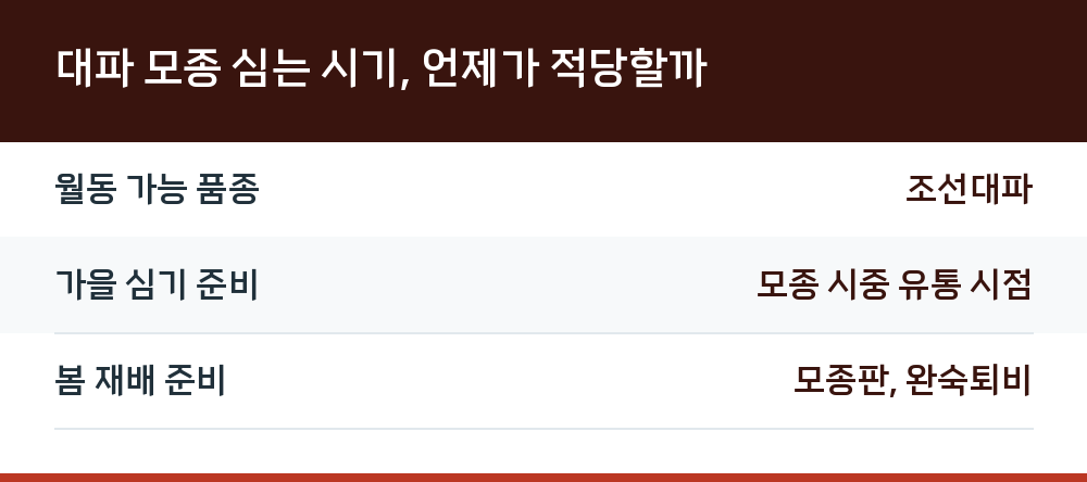 대파 모종 심는 시기, 언제가 적당할까