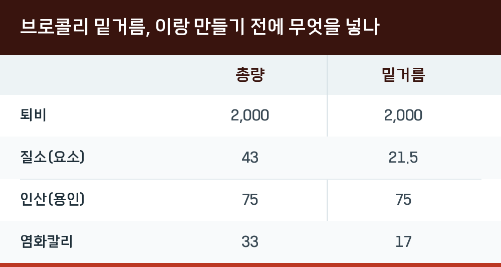 브로콜리 밑거름, 이랑 만들기 전에 무엇을 넣나