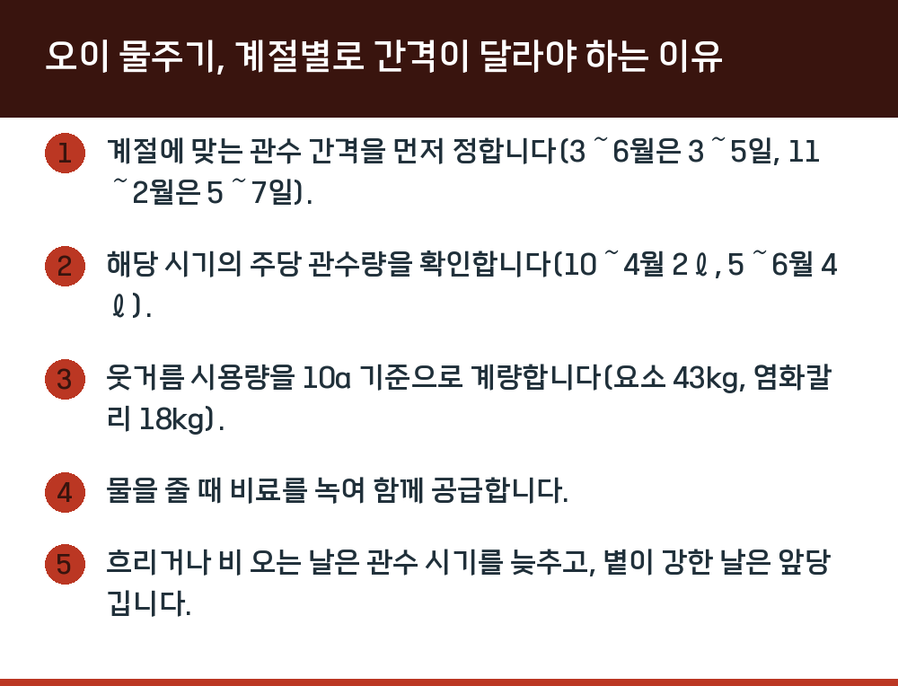 오이 물주기, 계절별로 간격이 달라야 하는 이유