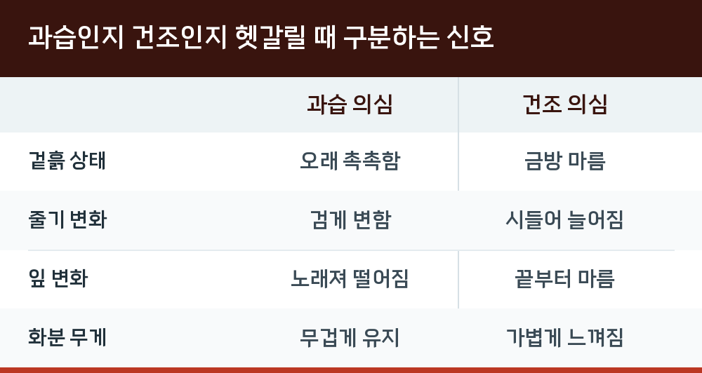 과습인지 건조인지 헷갈릴 때 구분하는 신호