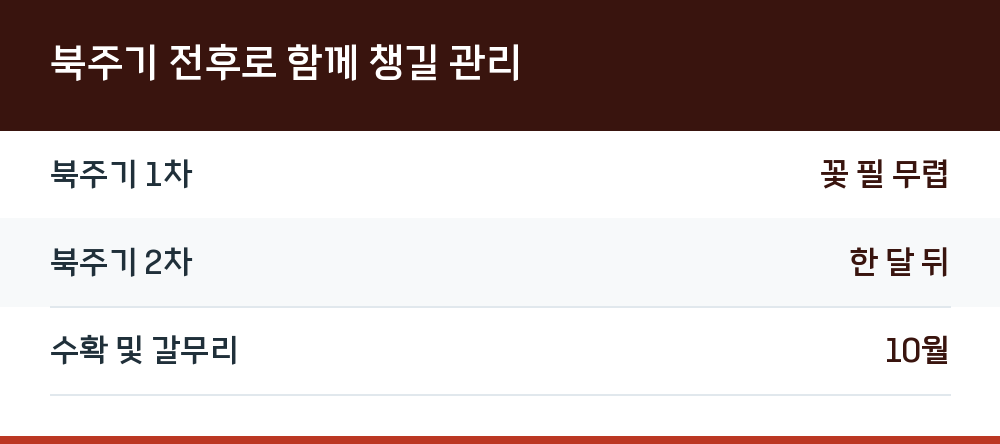 북주기 전후로 함께 챙길 관리