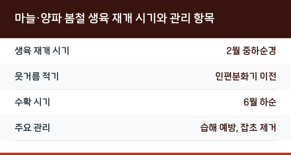 마늘·양파 봄철 생육 재개 시기와 관리 항목