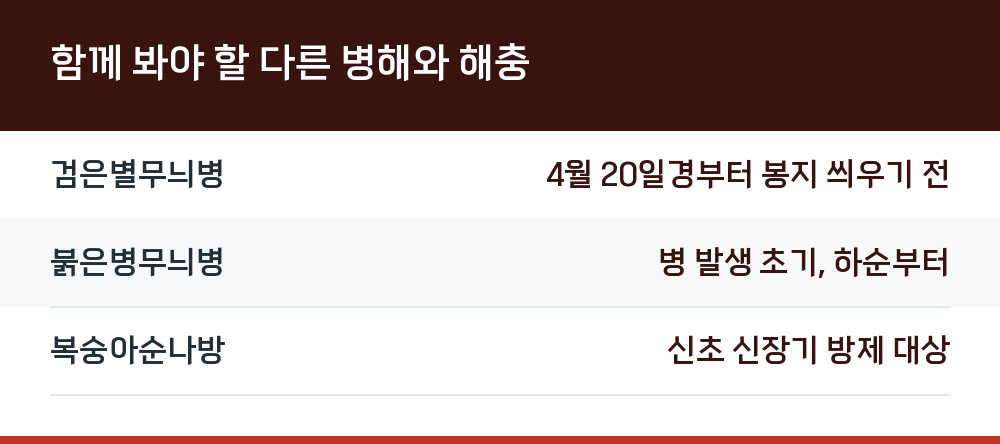 함께 봐야 할 다른 병해와 해충