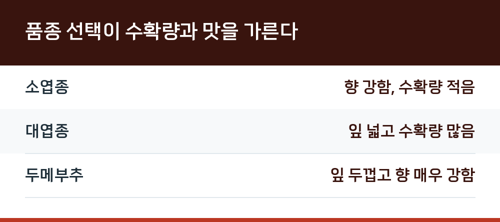 품종 선택이 수확량과 맛을 가른다