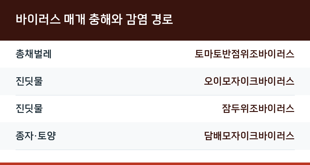 바이러스 매개 충해와 감염 경로