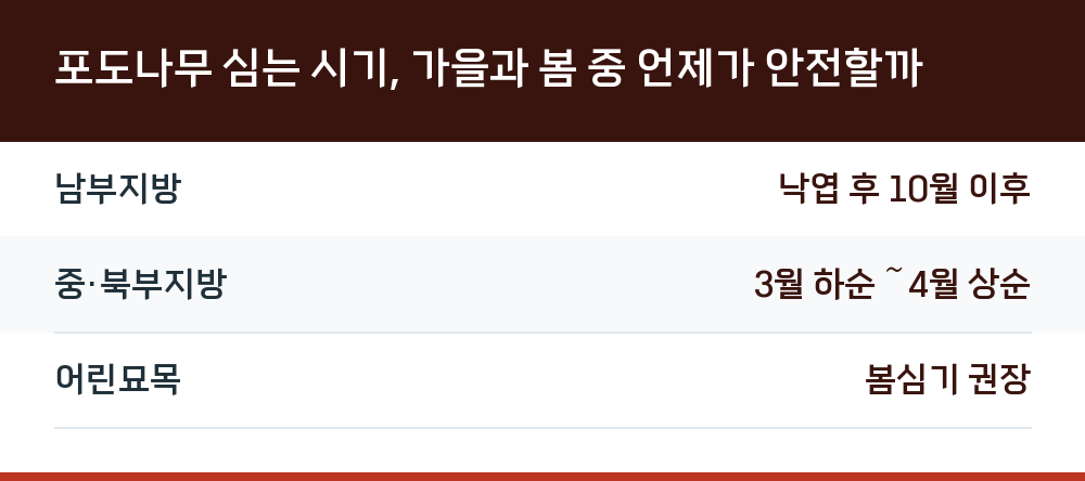 포도나무 심는 시기, 가을과 봄 중 언제가 안전할까