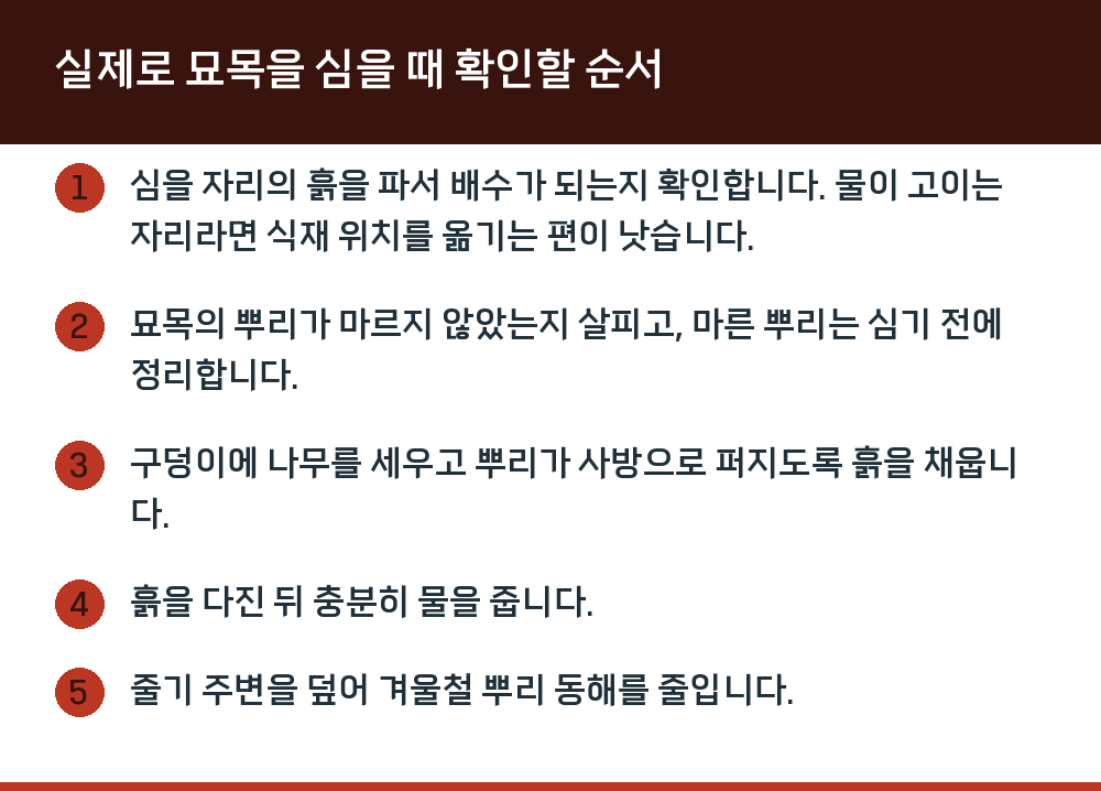실제로 묘목을 심을 때 확인할 순서