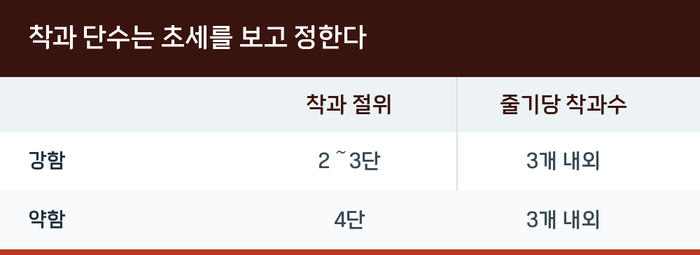 착과 단수는 초세를 보고 정한다