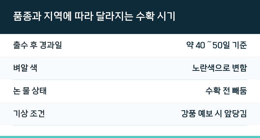 품종과 지역에 따라 달라지는 수확 시기
