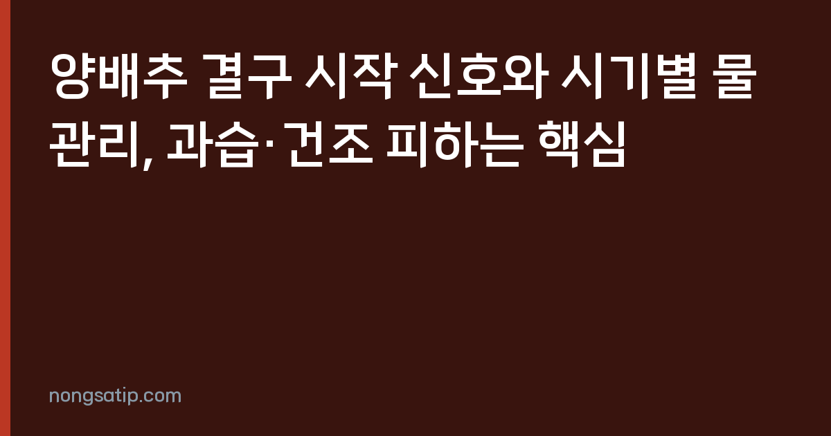 양배추 결구 시작 신호와 시기별 물관리, 과습·건조 피하는 핵심