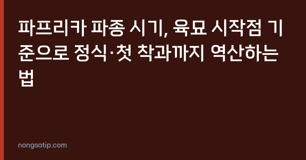 파프리카 파종 시기, 육묘 시작점 기준으로 정식·첫 착과까지 역산하는 법