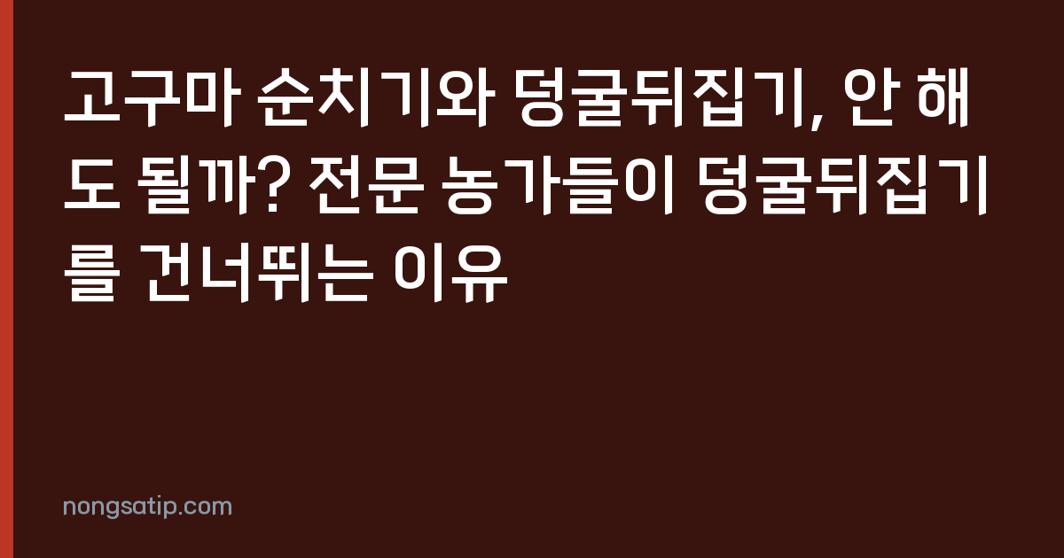 고구마 순치기와 덩굴뒤집기, 안 해도 될까? 전문 농가들이 덩굴뒤집기를 건너뛰는 이유