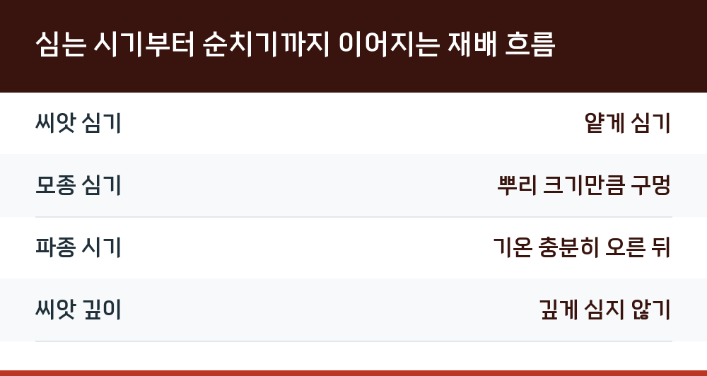 심는 시기부터 순치기까지 이어지는 재배 흐름