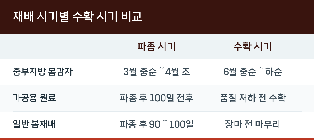 재배 시기별 수확 시기 비교