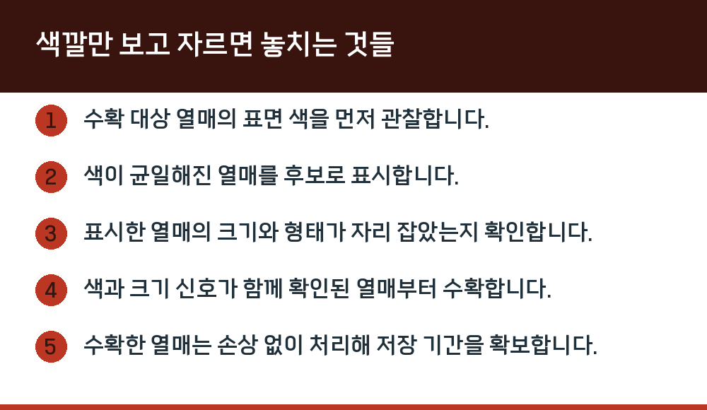 색깔만 보고 자르면 놓치는 것들