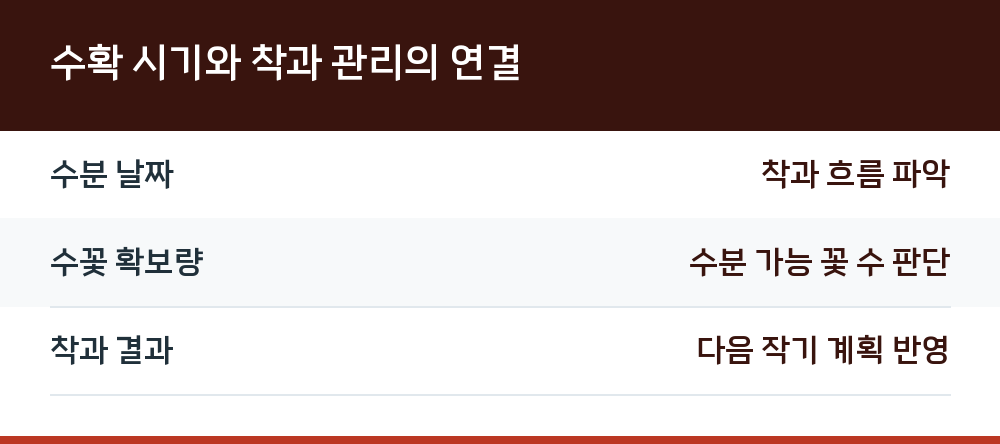 수확 시기와 착과 관리의 연결