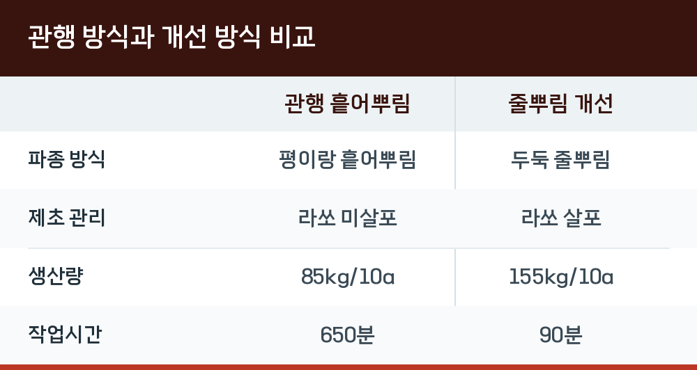 관행 방식과 개선 방식 비교