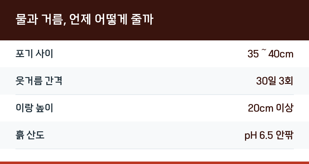 물과 거름, 언제 어떻게 줄까