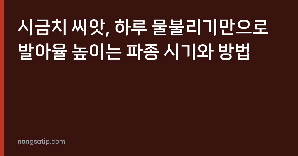 시금치 씨앗, 하루 물불리기만으로 발아율 높이는 파종 시기와 방법