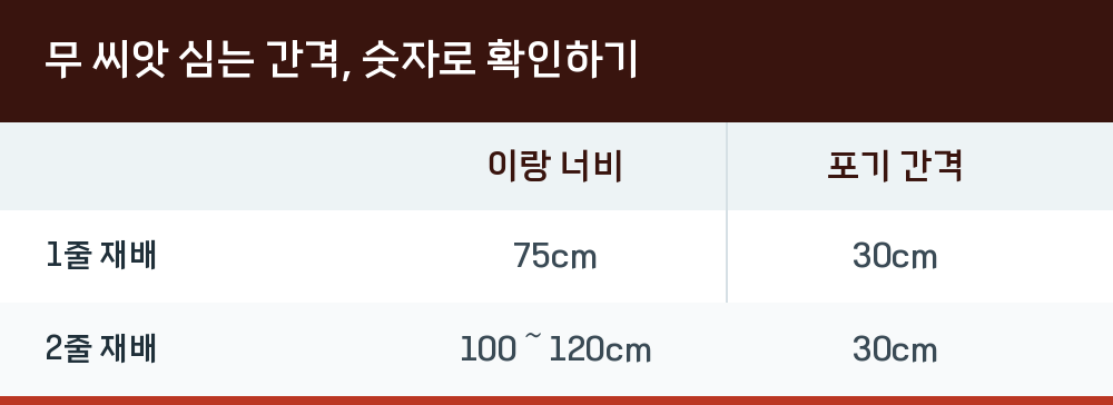 무 씨앗 심는 간격, 숫자로 확인하기