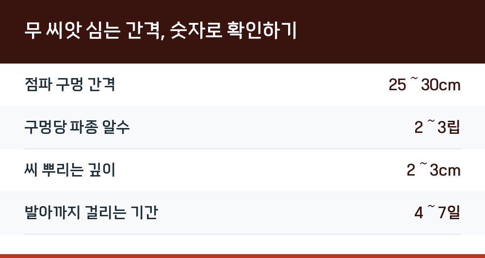 무 씨앗 심는 간격, 숫자로 확인하기