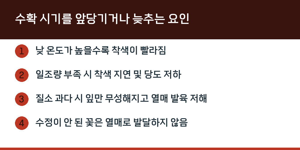 수확 시기를 앞당기거나 늦추는 요인