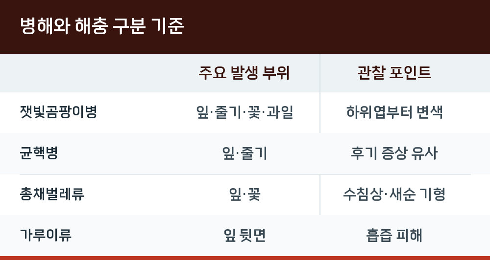병해와 해충 구분 기준