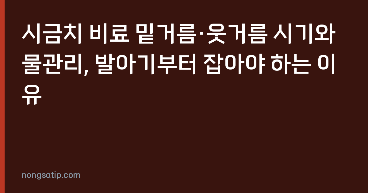 시금치 비료 밑거름·웃거름 시기와 물관리, 발아기부터 잡아야 하는 이유