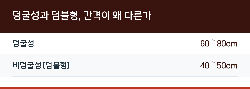 덩굴성과 덤불형, 간격이 왜 다른가