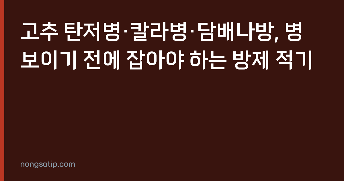 고추 탄저병·칼라병·담배나방, 병 보이기 전에 잡아야 하는 방제 적기