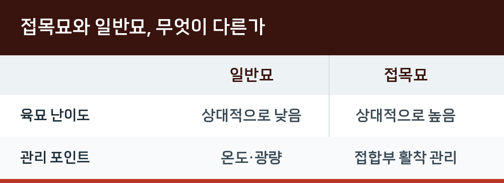 접목묘와 일반묘, 무엇이 다른가