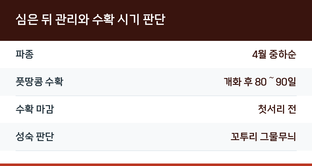 심은 뒤 관리와 수확 시기 판단