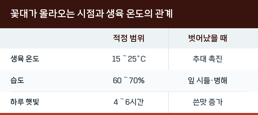꽃대가 올라오는 시점과 생육 온도의 관계