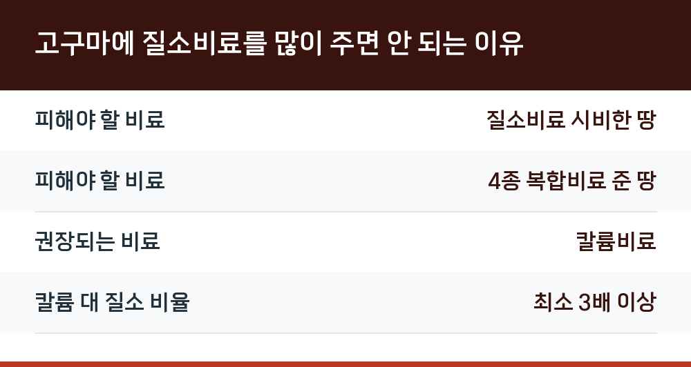 고구마에 질소비료를 많이 주면 안 되는 이유
