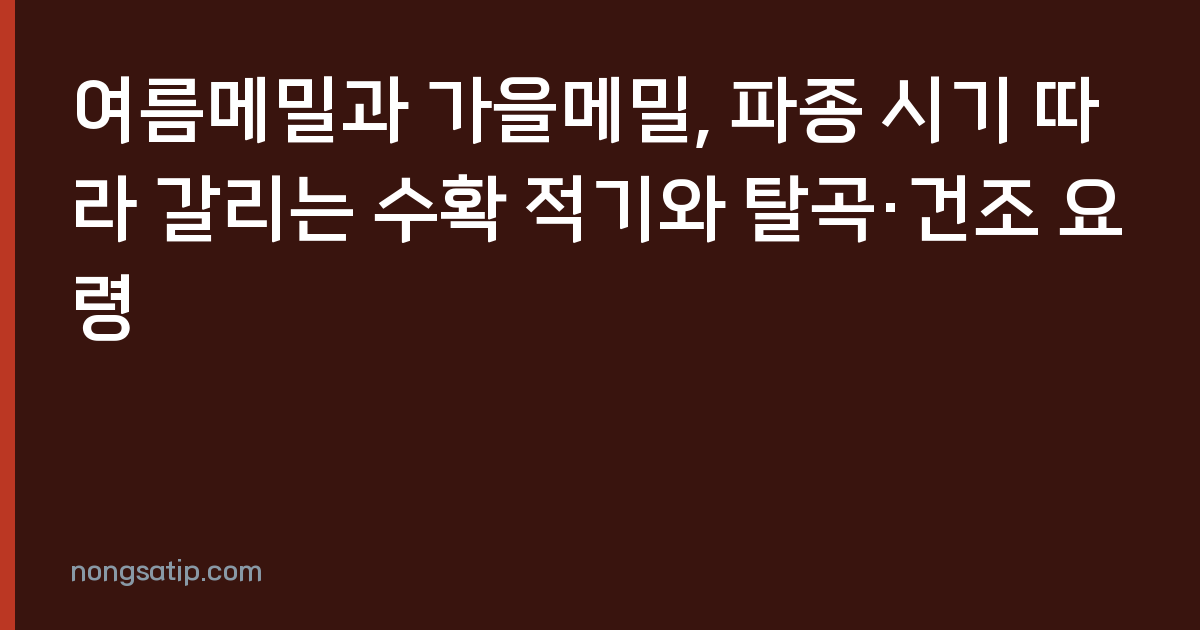 여름메밀과 가을메밀, 파종 시기 따라 갈리는 수확 적기와 탈곡·건조 요령