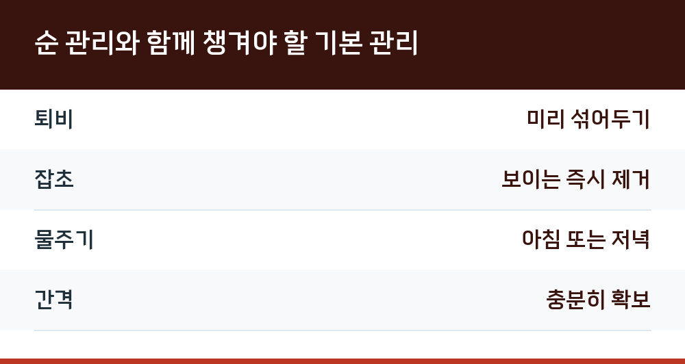 순 관리와 함께 챙겨야 할 기본 관리