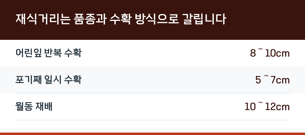 재식거리는 품종과 수확 방식으로 갈립니다
