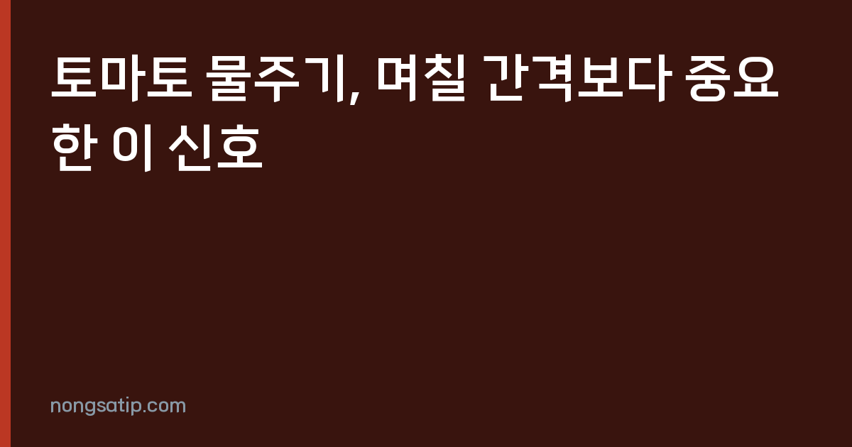 토마토 물주기, 며칠 간격보다 중요한 이 신호
