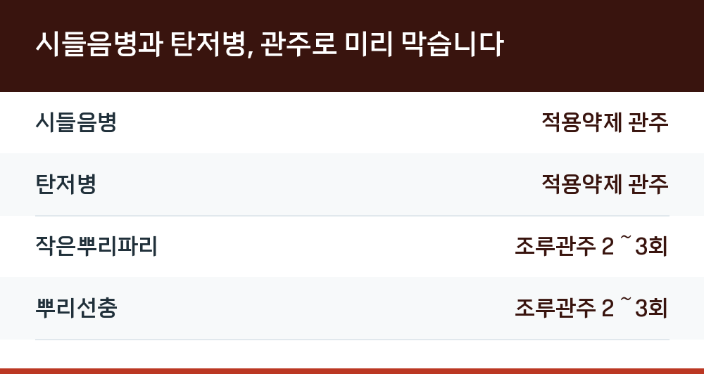 시들음병과 탄저병, 관주로 미리 막습니다