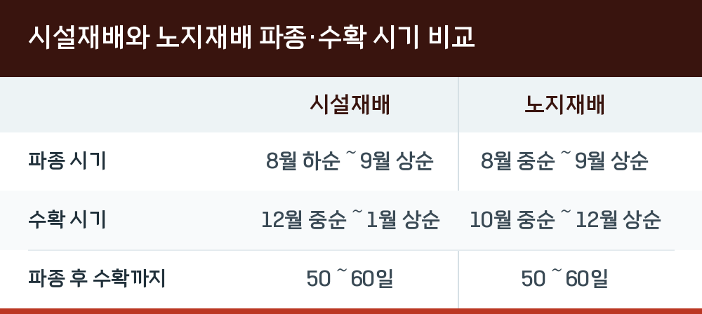 시설재배와 노지재배 파종·수확 시기 비교