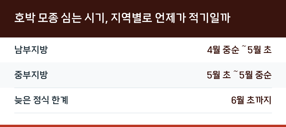 호박 모종 심는 시기, 지역별로 언제가 적기일까