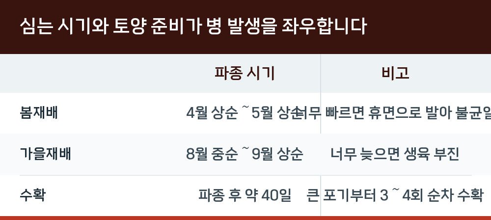 심는 시기와 토양 준비가 병 발생을 좌우합니다
