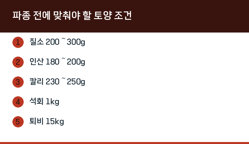 파종 전에 맞춰야 할 토양 조건